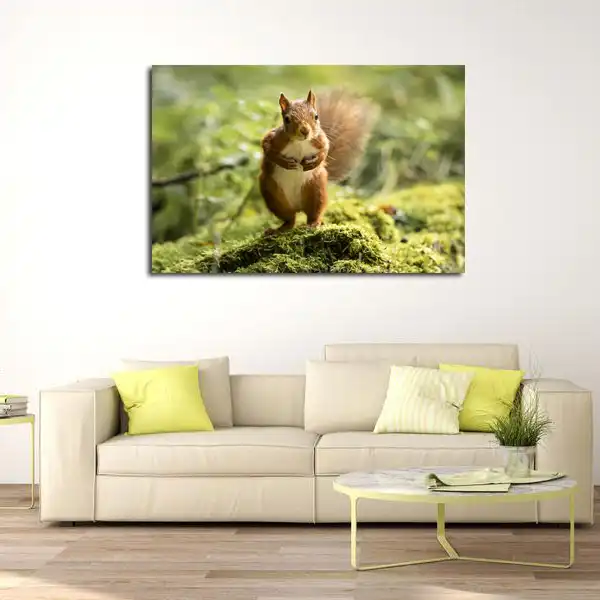 تابلو شاسی مدل سنجاب کد 10