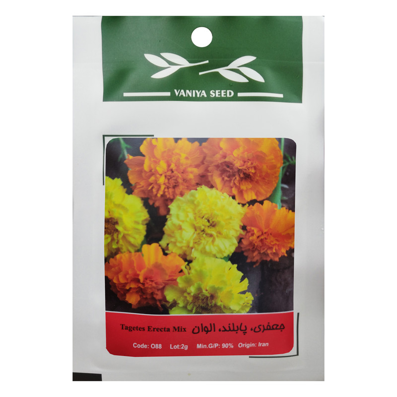 بذر گل جعفری پابلند الوان وانیا سید مدل O88