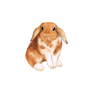 نقد و بررسی استیکر لپ تاپ طرح خرگوش کد RE توسط خریداران