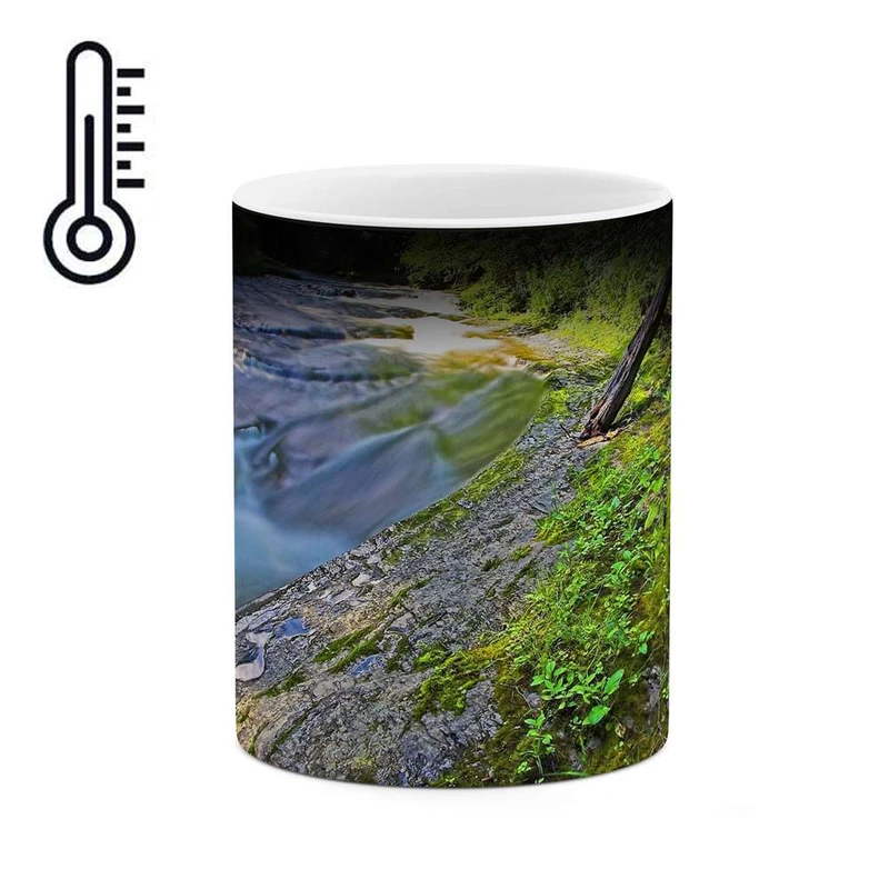 ماگ حرارتی کاکتی مدل منظره کد mgh10699