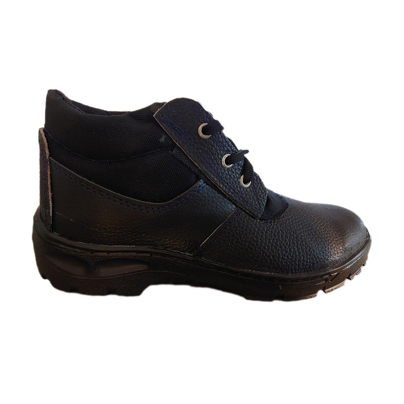 پوتین ایمنی اکولوژیک مدل سبلان