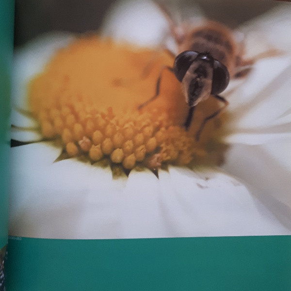 كتاب grande 3 : vision royalty free photography اثر جمعي از نويسندگان انتشارات image كتاب grande 3 : vision royalty free photography اثر جمعي از نويسندگان انتشارات image