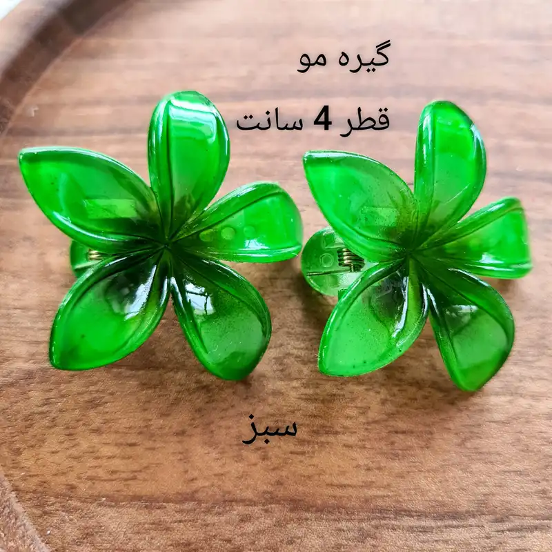 گیره مو زنانه مدل گل پلومریا پنسی بسته 2 عددی