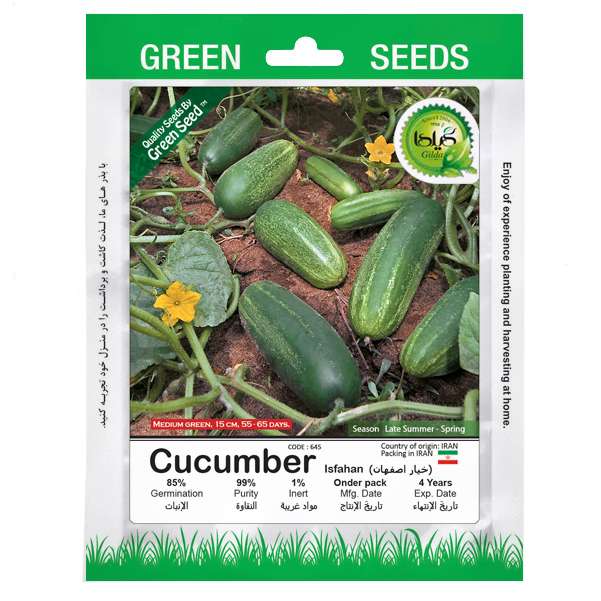 بذر خیار اصفهان گیلدا کد 645 بذر خیار اصفهان گیلدا کد 645