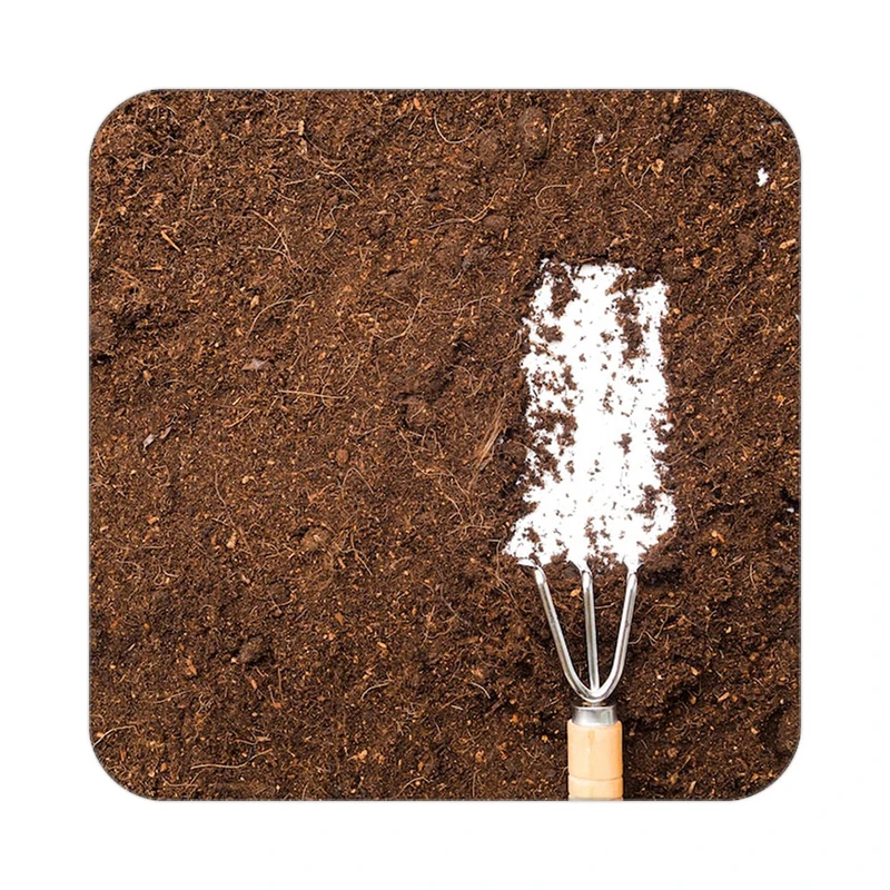 زیر لیوانی کاکتی طرح گل مدل mp19150