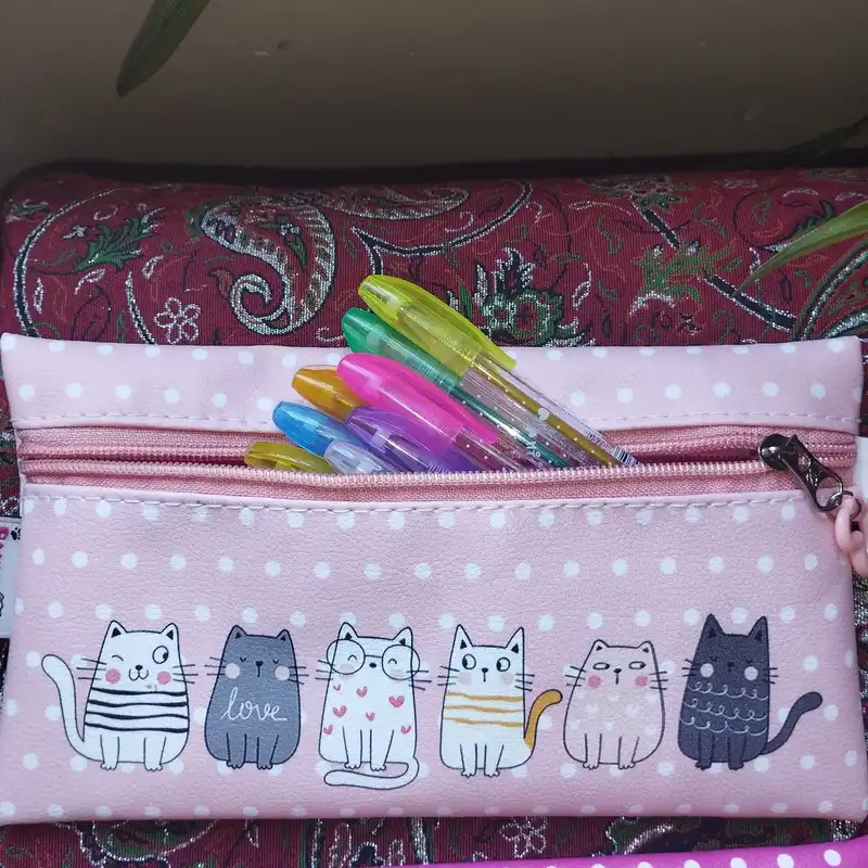 جامدادی  پانی پو مدل پاکتی طرح گربه