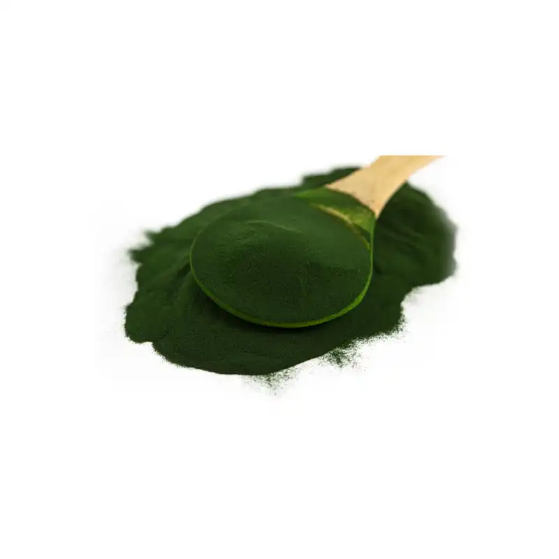 غذای ماهی جلبک اسپرولینا اوشن مدل t2 وزن 15 گرم