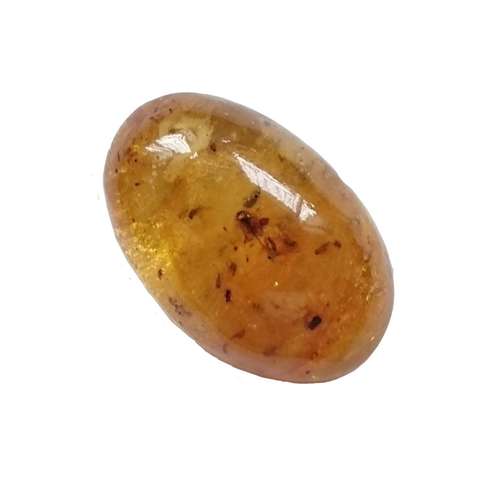  سنگ کهربا مدل حشره دار بالتیک طبیعی کد 04