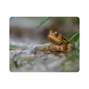 ماوس پد اطلس آبی  طرح قورباغه مدل T7863