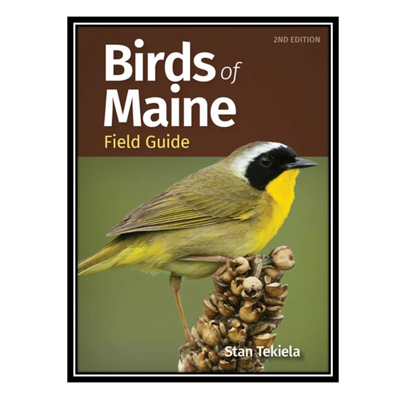 کتاب Birds of Maine Field Guide اثر Stan Tekiela انتشارات مؤلفین طلایی