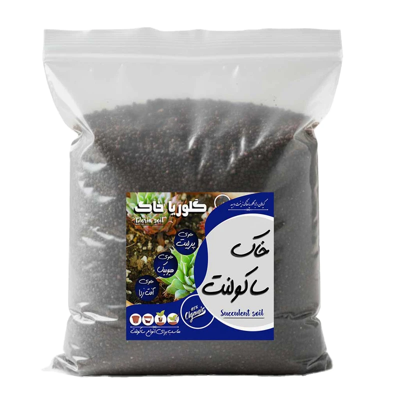 خاک ساکولنت گلوریا خاک مدل 4LR وزن 2 کیلوگرم