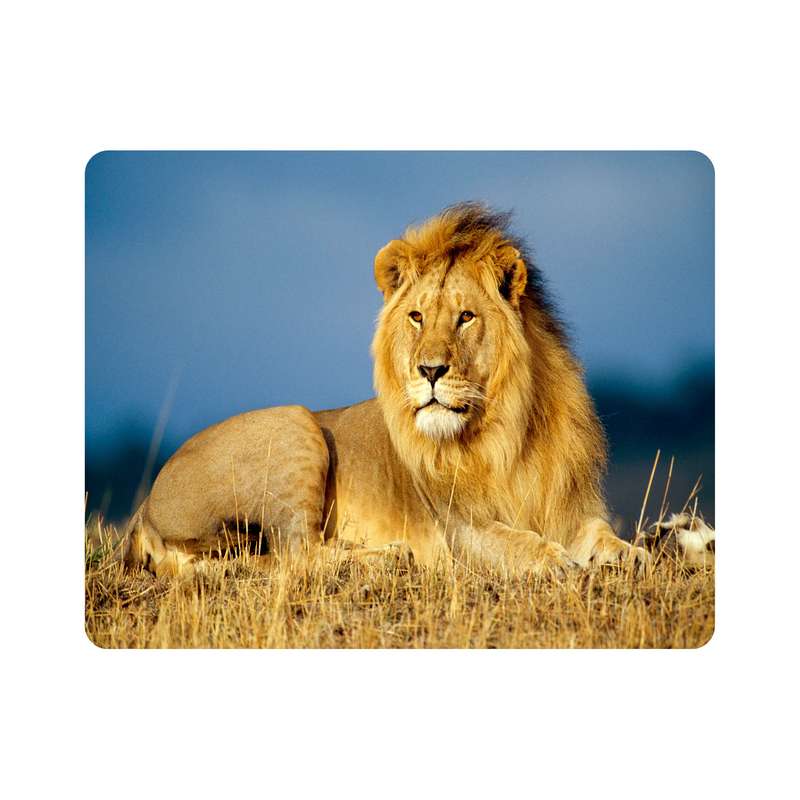 ماوس پد اطلس آبی طرح شیر  مدل T7658