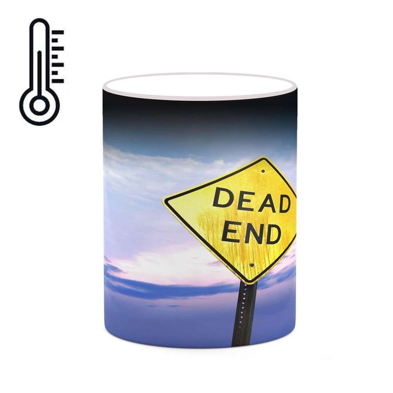 ماگ حرارتی کاکتی مدل فانتزی کد mgh18936