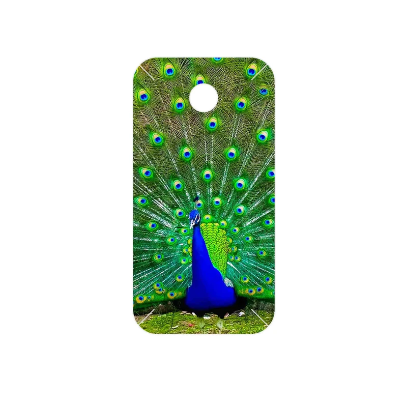 برچسب پوششی ماهوت مدل Peacock مناسب برای گوشی موبایل هوآوی Ascend Y330