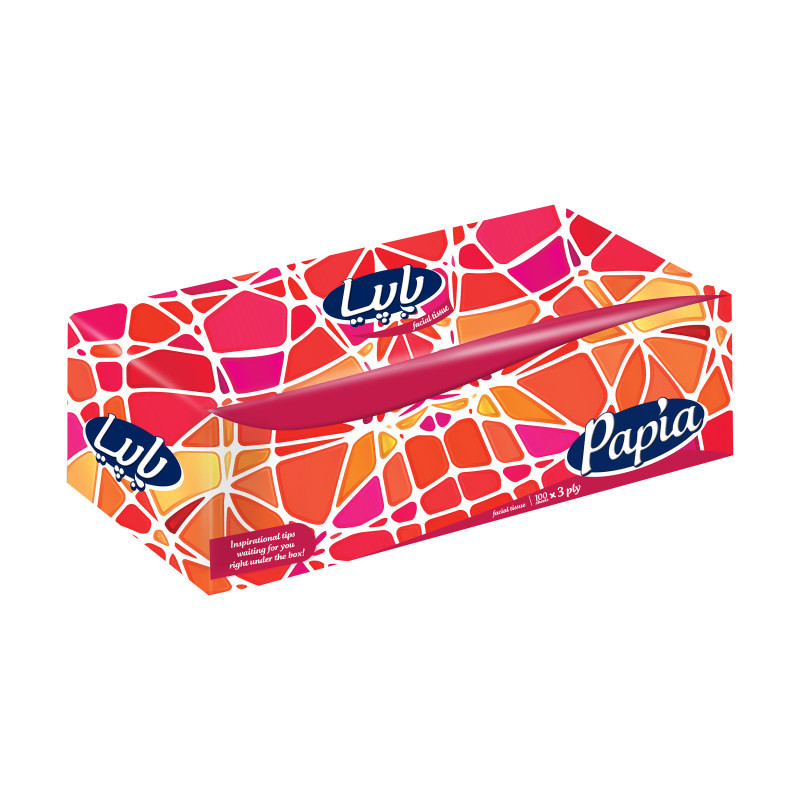 دستمال کاغذی 300 برگ پاپیا مدل میکس بسته 48 عددی
