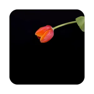 زیر لیوانی کاکتی طرح گل مدل mp18656