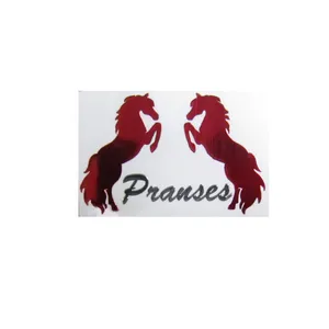 برچسب خودرو مدل لیزری PRANSES کد L111