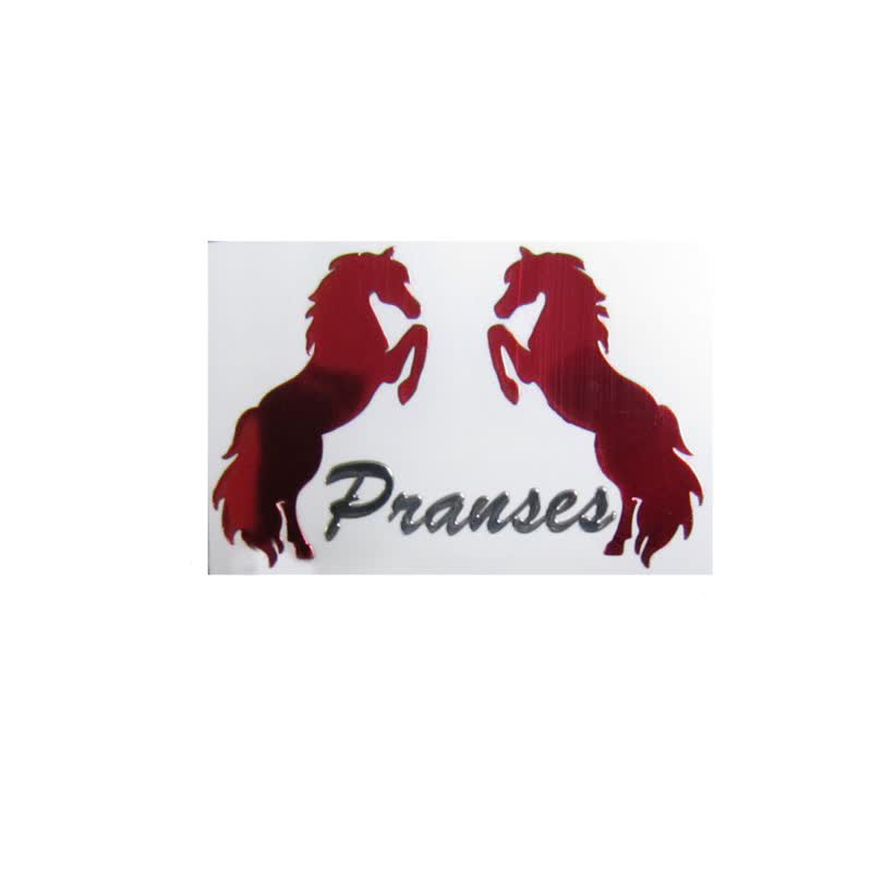 برچسب خودرو مدل لیزری PRANSES کد L111