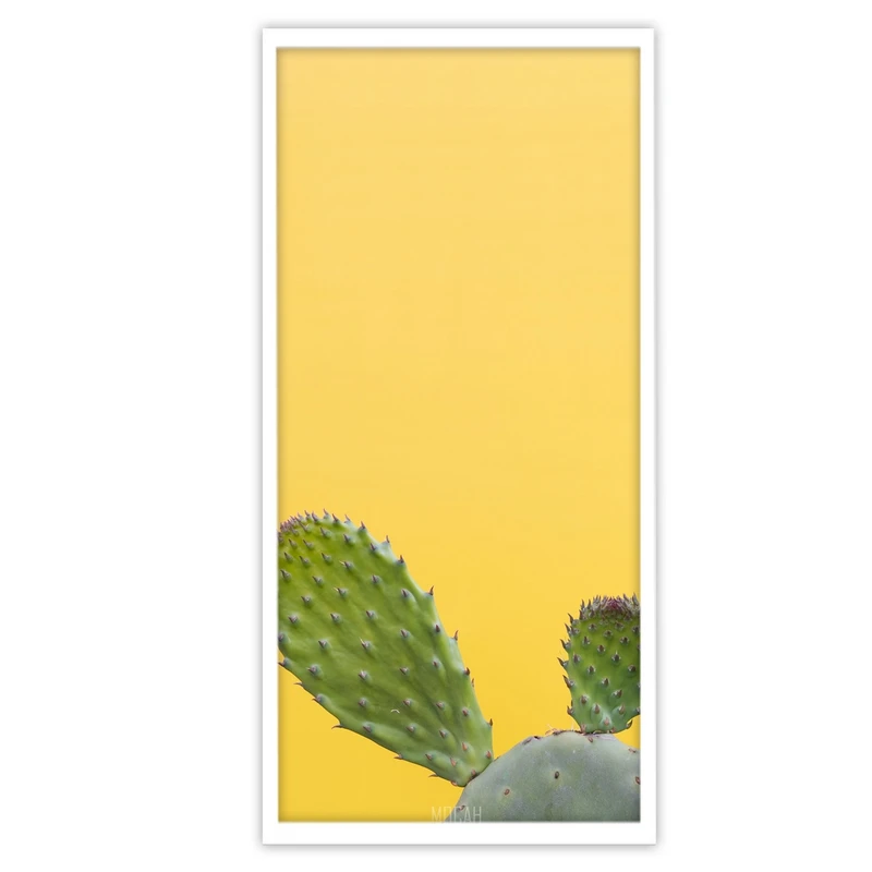 تابلو بکلیت طرح عکاسی مینیمال کاکتوس مدل W-S3057