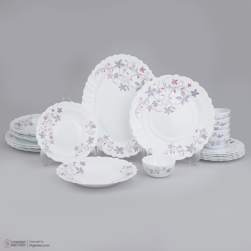 سرويس 25 پارچه آیروپال مدل يگانه