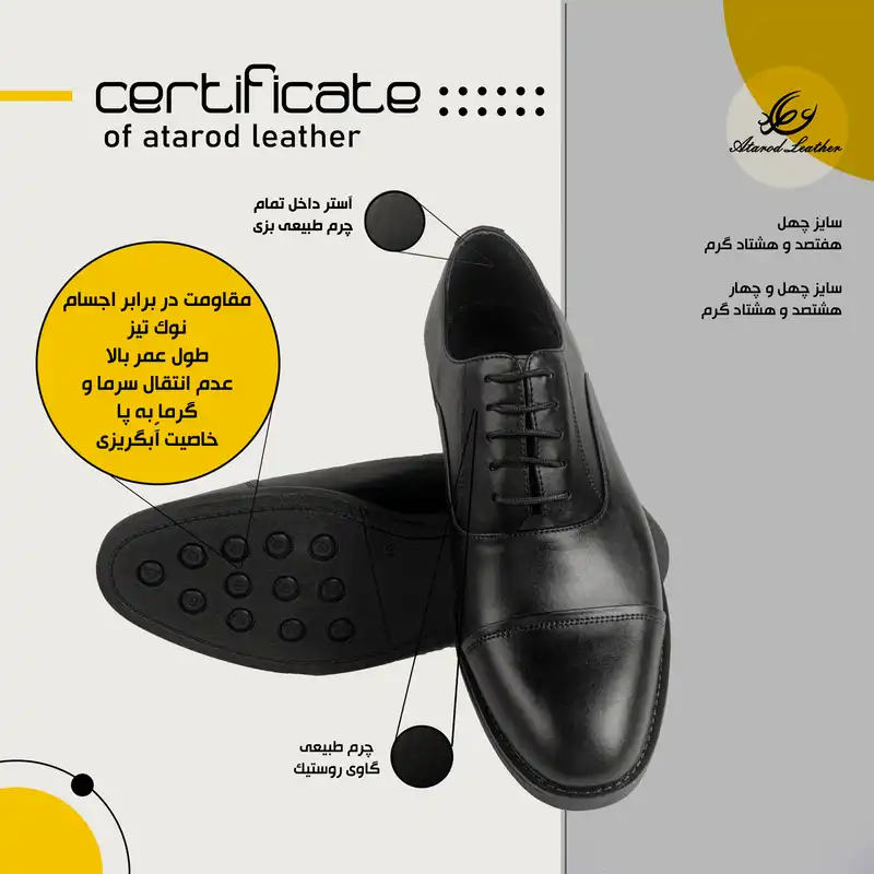 کفش مردانه چرم عطارد مدل چرم طبیعی کد SH48