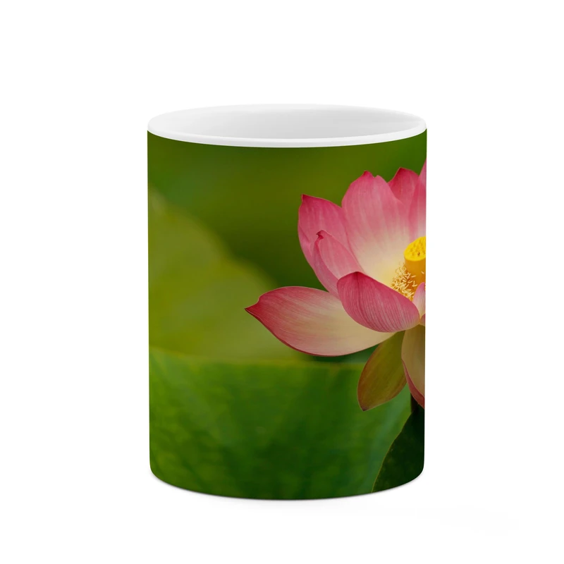 ماگ کاکتی مدل گل کد mgh17329