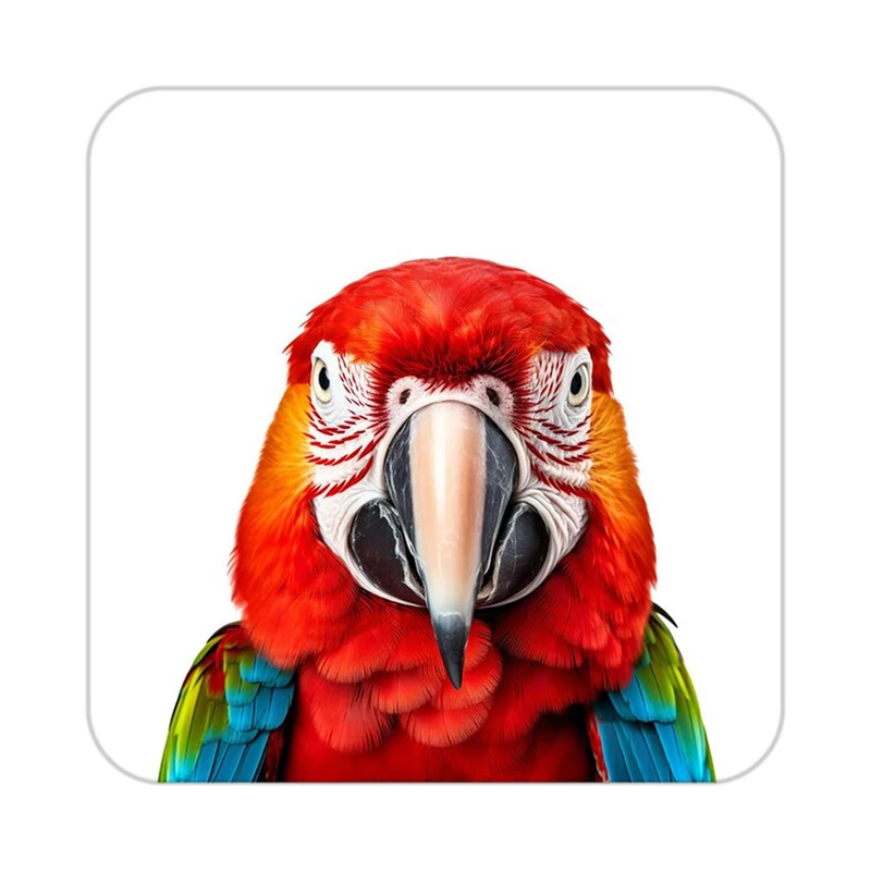 زیر لیوانی کاکتی طرح حیوانات رنگی مدل mp25799