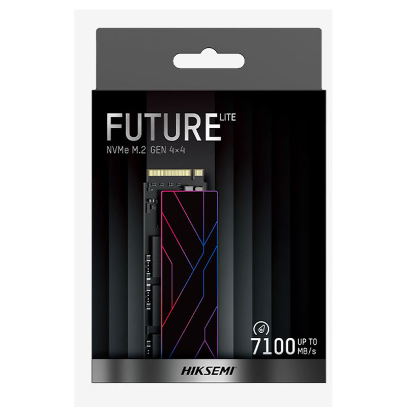 اس اس دی اینترنال M.2 هایکسمی مدل FUTURE LITE ظرفیت یک ترابایت