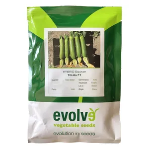 بذر کدو اولو مدل تلما