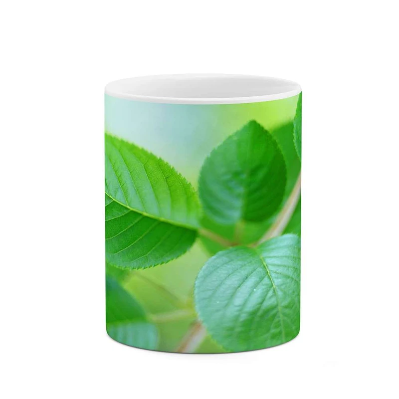 ماگ کاکتی مدل برگ کد mgh12203