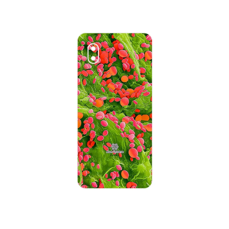 برچسب پوششی ماهوت مدل Atom Universe 3 مناسب برای گوشی موبایل سامسونگ Galaxy A01 Core