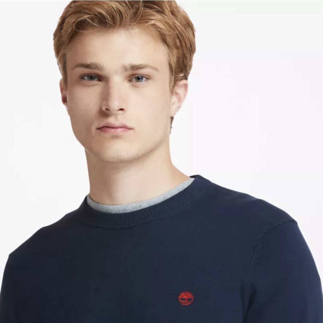 پلیور مردانه تیمبرلند مدل TB0A1QTW - Williams River crew neck organic cotton jumper -  - 8
