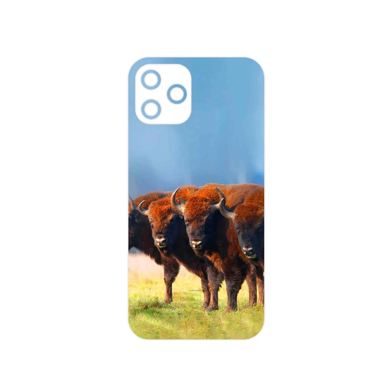 برچسب پوششی ماهوت مدل Buffalo مناسب برای گوشی موبایل اپل iPhone 12 Pro