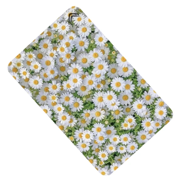 استیکر کارت مدل CAB453-K-G1-53