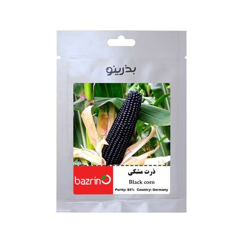 بذر ذرت مشکی بذرینو کد BZNO-180