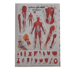 برچسب طرح ماهیچه ها کد 10