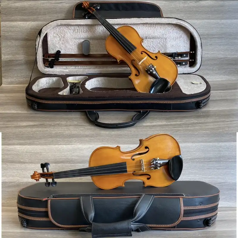 هاردکیس ویولن مدل MAGHSN