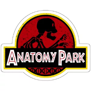 استیکر لپ تاپ مدل Anatomy Park