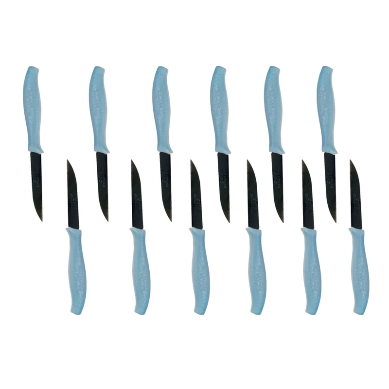 کارد میوه خوری اکیا مدل هخا مجموعه 12 عددی