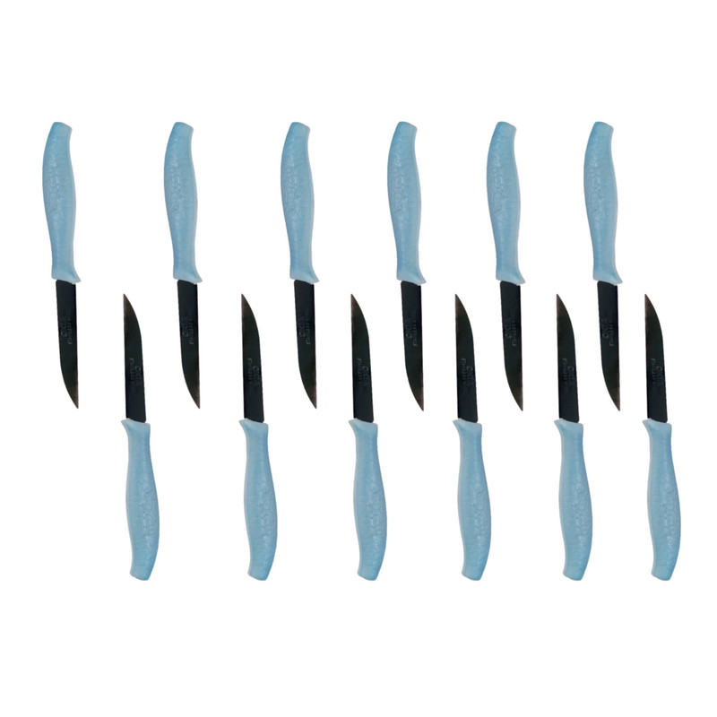 کارد میوه خوری اکیا مدل هخا مجموعه 12 عددی