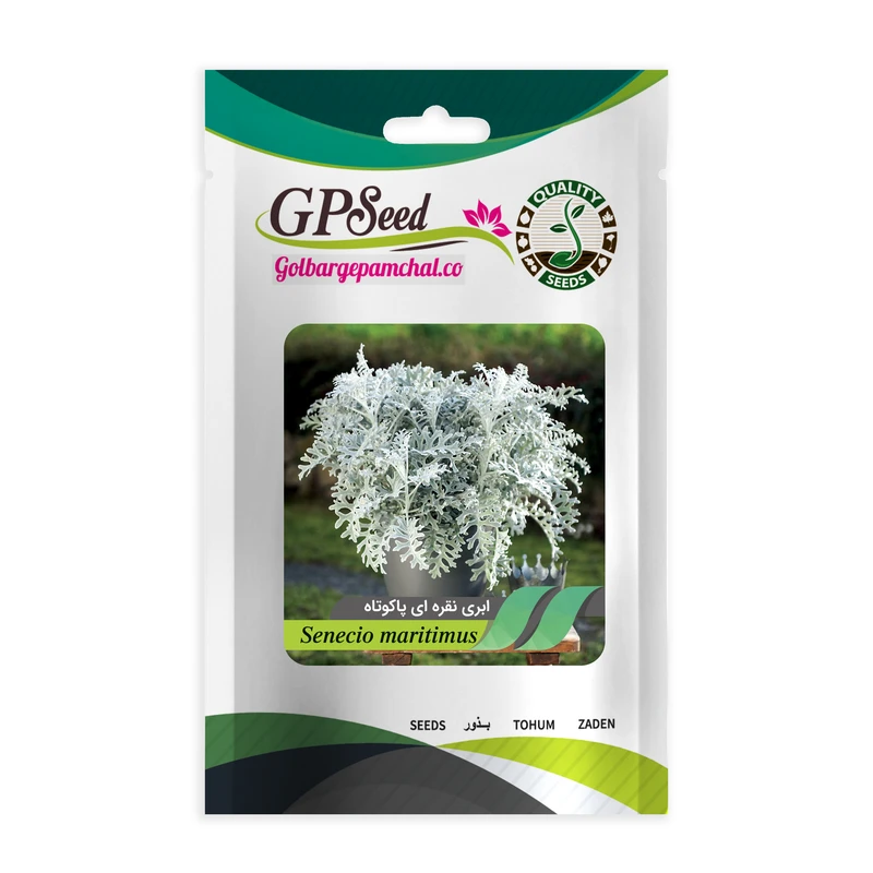 بذر گل ابری نقره ای گلبرگ پامچال کد GPF-012