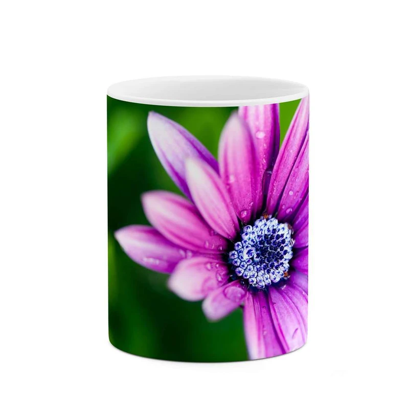 ماگ کاکتی مدل گل کد mgh12026