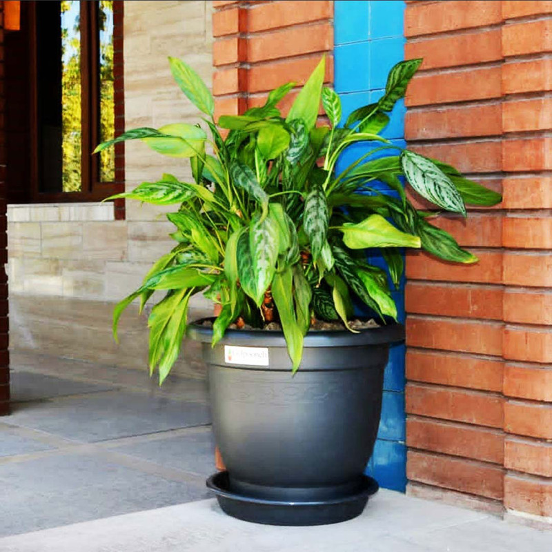 گلدان گلپونه مدل پلاستیکی کد 316