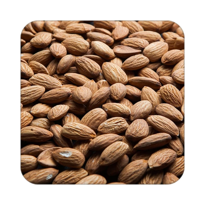 زیر لیوانی کاکتی طرح میوه مدل mp22012