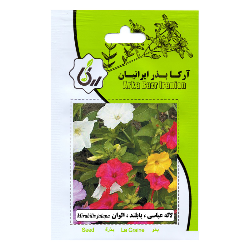 بذر گل لاله عباسی پابلند الوان آرکا بذر ایرانیان کد 172-ARK