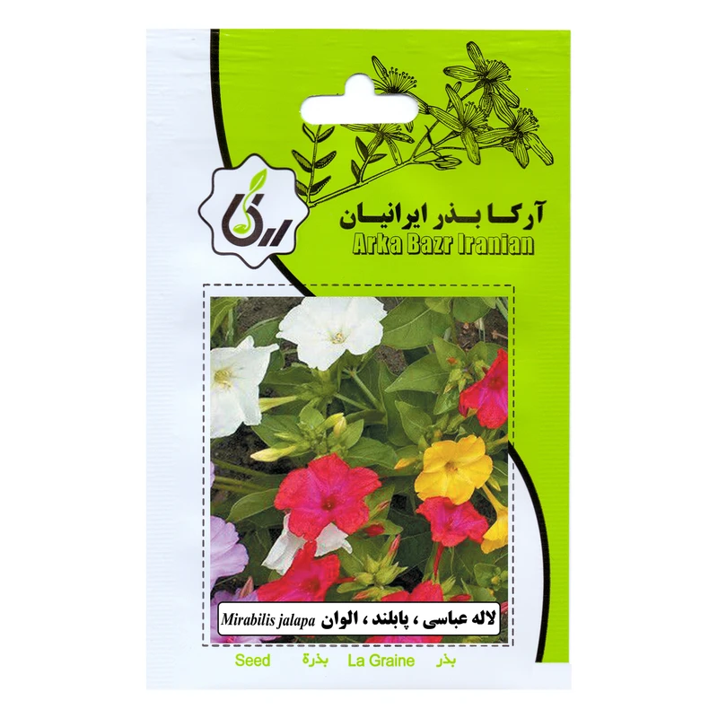 بذر گل لاله عباسی پابلند الوان آرکا بذر ایرانیان کد 172-ARK