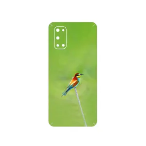 MAHOOT European bee-eater Cover Sticker for Realme 7 5G