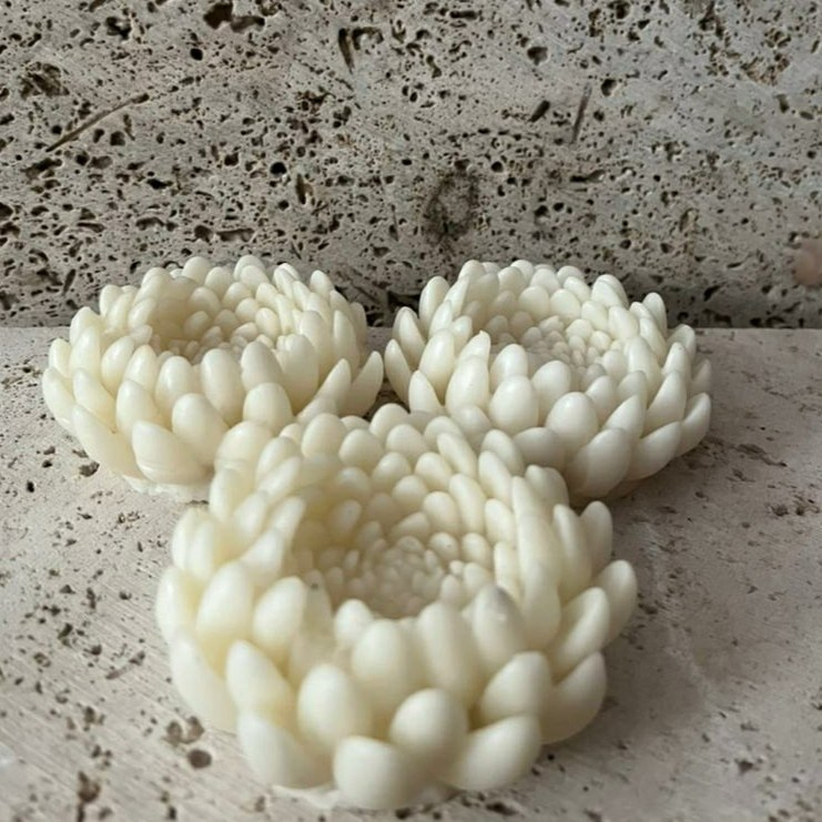 قالب شمع مدل گل داوودی