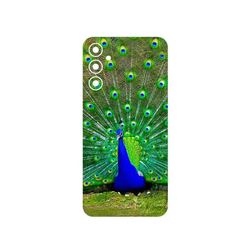 برچسب پوششی ماهوت مدل Peacock مناسب برای گوشی موبایل سامسونگ Galaxy A34