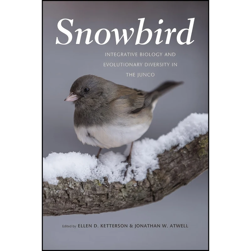 کتاب Snowbird اثر جمعي از نويسندگان انتشارات University of Chicago Press